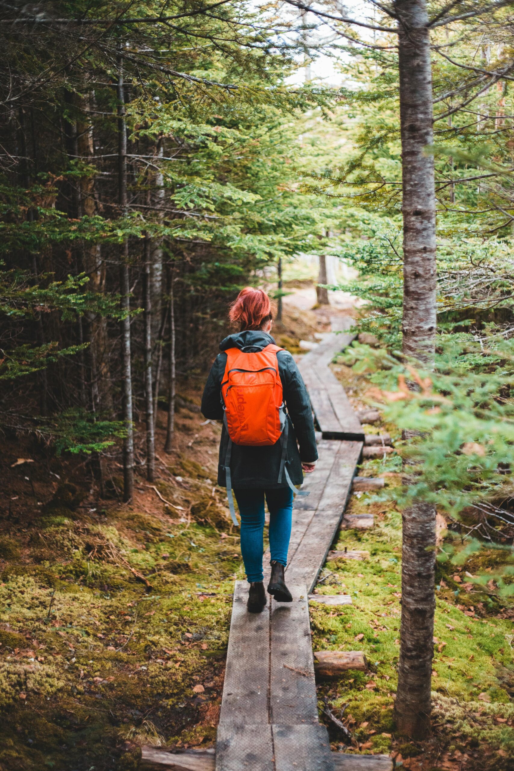 The Cabot Trail